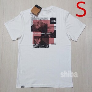 THE NORTH FACE ノースフェイス tシャツ 半袖 ホワイト 白 ストライプミックス Stripe Mix 海外Sサイズ