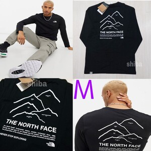 THE NORTH FACE ノースフェイス 長袖 ロンT ロング tシャツ 黒 ブラック ピークス Peaks 海外Mサイズ