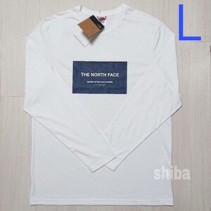 THE NORTH FACE ノースフェイス 希少 海外限定 長袖 ロンT ロング tシャツ ホワイト 白 Topo 海外Lサイズ