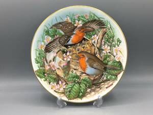 英国 ロイヤルウースター ヨーロッパコマドリ 鳥 飾り皿 絵皿 皿 ②②② (1)