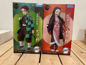 鬼滅の刃 SPM 兄弟の絆 竈門炭治郎、竈門ねずこフィギュア