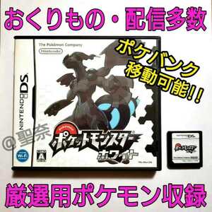 ポケットモンスター ホワイト