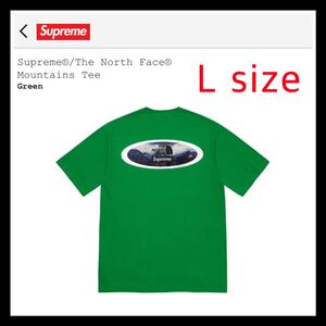 【新品未開封】 シュプリーム ザ・ノースフェイス Tシャツ グリーン L Supreme The North Face tee