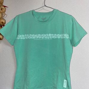 マーモット　Tシャツ　S