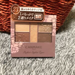 キャンメイク パーフェクトスタイリストアイズ23