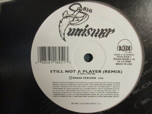 Big Punisher ： Still Not A Player 12'' // Brenda Russell - A Little Bit Of Love ネタ! / 落札5点で送料無料