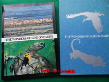 TIME LIFE BOOKS 地球 生物 その進化と生態 THE WONDERS OF LIFE ON EARTH_画像1