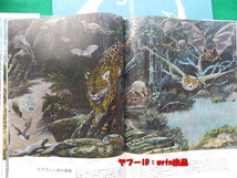 TIME LIFE BOOKS 地球 生物 その進化と生態 THE WONDERS OF LIFE ON EARTH_画像3