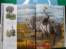 TIME LIFE BOOKS 地球 生物 その進化と生態 THE WONDERS OF LIFE ON EARTH_画像4