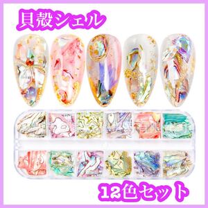 ネイル素材 貝殻シェル 12種セット レジン ハンドメイド パーツ ニュアンスネイル アクセサリー ジェル 貝 クラッシュネイル