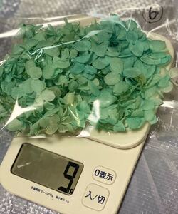 6☆ 約7g ドライフラワー ハーバリウム