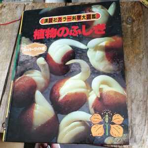 ☆講談社カラー科学大図鑑　植物のふしぎ　スーパーワイド版☆