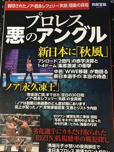 ☆本プロレス「別冊宝島2431 プロレス悪のアングル」新日本全日本ノアゼロワンWWE中邑棚橋秋山桜庭ライジン