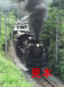 鉄道写真、645ネガデータ、140375120011、C58-363、パレオエクスプレス、秩父鉄道、浦山口～影森、2004.08.13、（3362×4591）