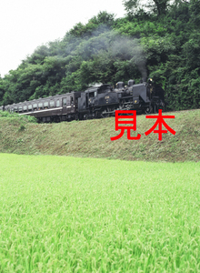 鉄道写真、645ネガデータ、140675130010、C11-325＋50系、真岡鐵道、茂木～天矢場、2004.08.26、（3362×4591）