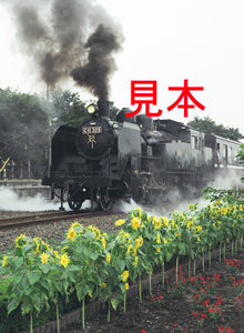 鉄道写真、645ネガデータ、140675130011、C11-325＋50系、真岡鐵道、西田井駅発車、2004.08.26、（3362×4591）