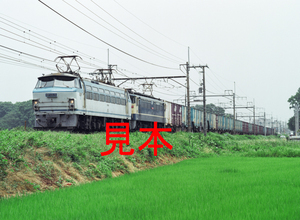 鉄道写真、645ネガデータ、139674750010、EF66-5＋EF65＋貨物、JR東北本線、蓮田～東大宮、2004.07.01、（4591×3362）