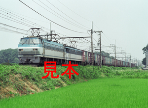 鉄道写真、645ネガデータ、139875010010、EF66-129＋EF65＋貨物、JR東北本線、蓮田～東大宮、2004.07.08、（4380×3207）