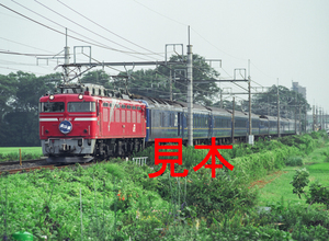 鉄道写真、645ネガデータ、140075020013、EF81-81＋北斗星、JR東北本線、東大宮～蓮田、2004.07.15、（4239×3104）