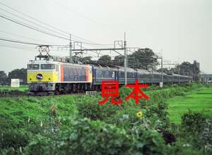 鉄道写真、645ネガデータ、140175110009、EF81-79＋北斗星、JR東北本線、東大宮～蓮田、2004.07.22、（4591×3362）