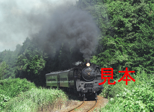 鉄道写真、645ネガデータ、140575130004、C12-66＋50系、真岡鐵道、茂木～天矢場、2004.08.19、（4591×3362）