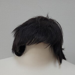 ウィッグ かつら 部分ウイッグ ショートヘアー ヘアーウィッグ