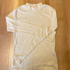 学校行事などに♪ホワイトタートル 150.160