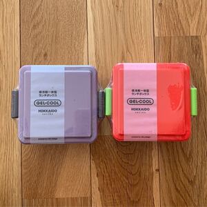 保冷剤一体型ランチボックス タックルボックス ルアーケース 大量セット