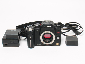 訳あり パナソニック ミラーレス一眼カメラ LUMIX DMC-GH1 ボディ Panasonic