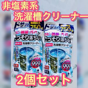 紀陽除虫菊 洗濯槽クリーナー (非塩素系/750g×2個セット) 粉末タイプ 除菌 消臭 生乾き臭防止 ほこり カビ取り