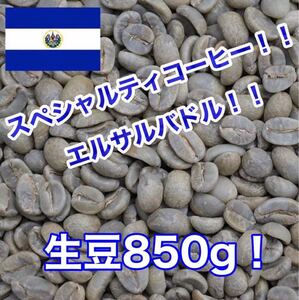 スペシャルティコーヒー!エルサルバドル シティオ・デ・マリア農園!生豆850g!