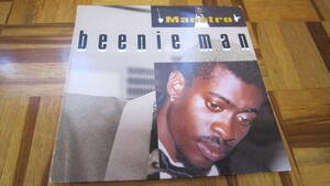 LP Beenie Man Maestro　 Greensleeves Records GREL 234　UK盤