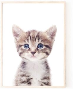 Art hand Auction 新品 額装付き A4サイズ アートポスター 猫 ネコ ねこ 猫の絵 額付き アートフレーム 絵画 インテリア 絵 アートパネル 現代アート, 美術品, 絵画, その他