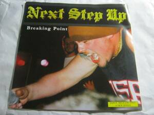 NEXT STEP UP / BREAKING POINT 3000限定7” BIOHAZARD BREAKDOWN