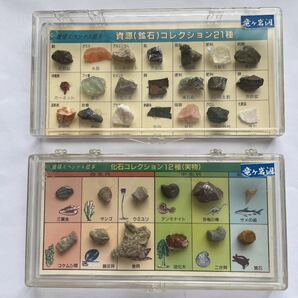 地球スペシャル標本 資源(鉱石)コレクション21種 化石コレクション12種