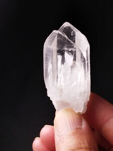 松茸水晶 きのこ水晶 王笏水晶 セプタークォーツ 天然石 49.3g
