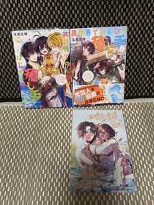 異世界でのんびり癒し手はじめます 毒にも薬にもならないから転生したお話 2《アニメイト、ビジュアルボード付き》
