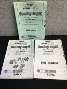 ★サピックス 6年 国語 SS特訓 サンデーサピックス 記述表現力講座 最難関校 全14回 問題・解答用紙未記入