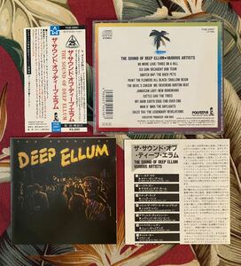 V.A. Sound of Deep Ellum 帯付CD Punk ガレージ ハードコア サイコビリー レゲエ Texas Dallas