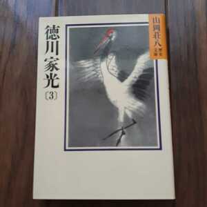 徳川家光 3　山岡荘八 講談社文庫
