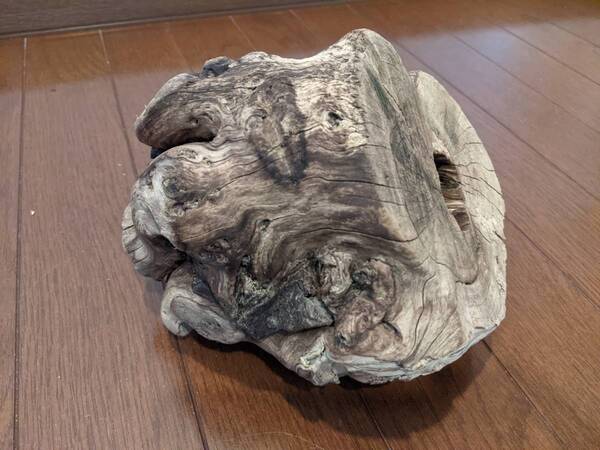 ☆天然流木 水槽 1点物 アクアリウム オブジェ アート 16.5×17.5×14cm 大和川 爬虫類 魚 隠れ家 インテリア フィギュア土台