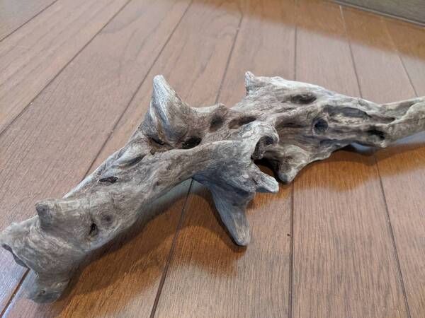 ☆天然流木 水槽 1点物 アクアリウム オブジェ アート 50×12×9.5cm 大和川 爬虫類 インテリア 大型 隠れ家
