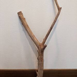 ☆天然流木 水槽 1点物 アクアリウム オブジェ アート 57×24×11.5cm 大和川 大枝 爬虫類 インテリア 大型