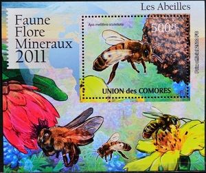 「TD129」コモロ諸島切手　2011年　ハチ