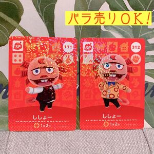 【バラ売り可】どうぶつの森 amiiboカード ししょー