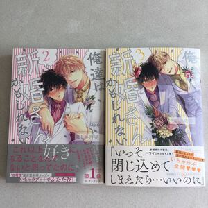 俺達は新婚さんかもしれない 2-3巻 ちしゃの実