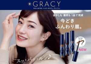 ★新発売★ インテグレート グレイシィ チップオン パウダーアイブロウ(ダークブラウン) 資生堂 新品未開封