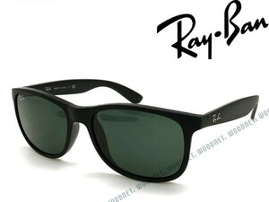 RayBan レイバン ANDY ブラックサングラス 4202-606971