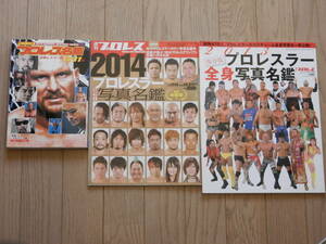 ☆☆☆ 【プロレス本】プロレス年鑑 3冊セット 2003年 2013年 2014年 日本スポーツ出版社 ベースボールマガジン社 送料386円 ☆☆☆