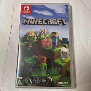 Minecraft Nintendo Switch版